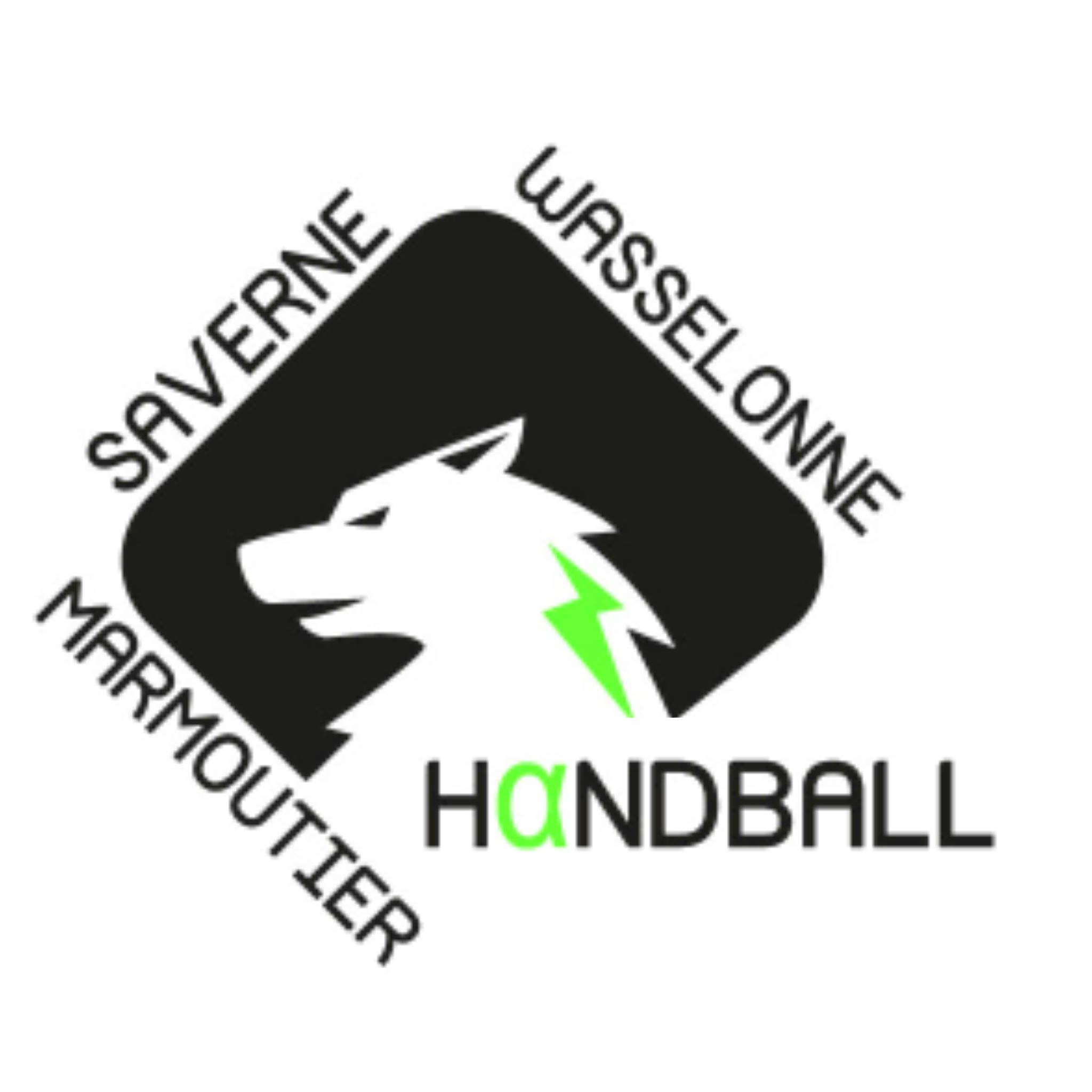 MWS Handball